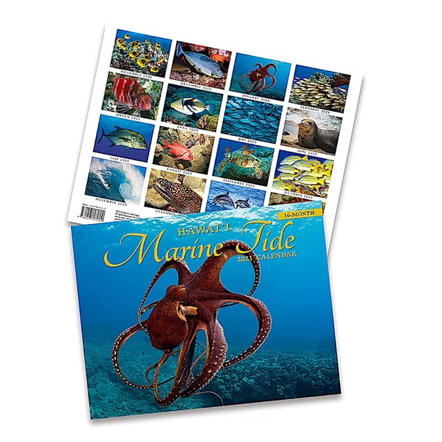 16 MONTH TRADE 2023 Calendar November 2022 February 2024 Marine Tide