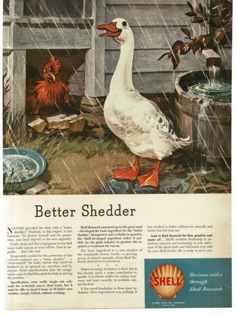 1945 Shell Oil Company Research Goose Chicken in rain Albert Staehle Print Ad