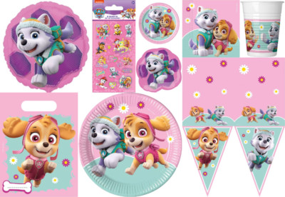 PINK PAW PATROL SKYE & Everest Ragazze Festa Stoviglie Palloncini Decorazioni Sacchetti 
