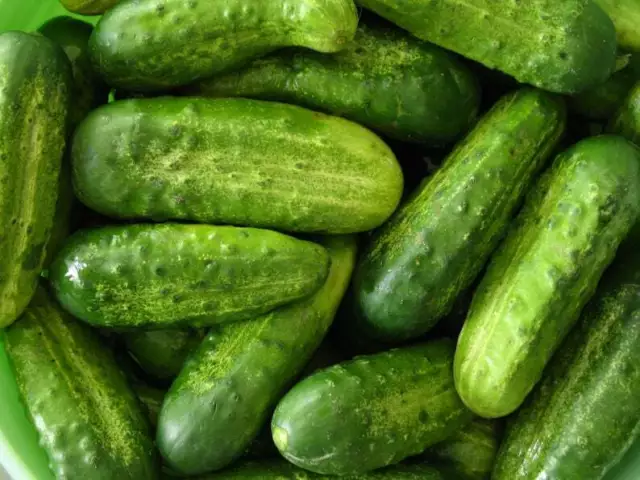 Gerkin Seeds x 30 'National' Cucumber for Pickling - FREE POSTAGE