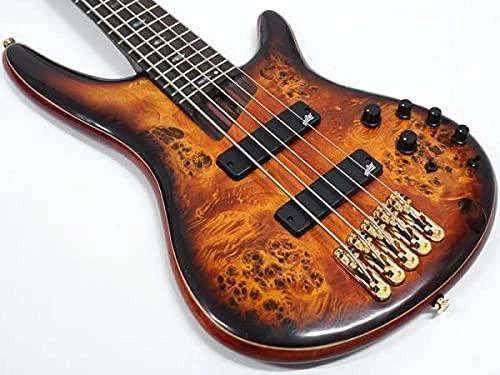 Ibanez Luxe Series 5 Corde Électrique Basse SR1605DW-DEL Avec Housse 6