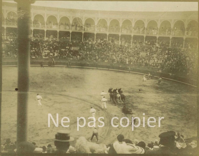 Tirage Citrate Vintage Corrida San Sebastian Espagne 1898 - Format 6x8,5 Cm