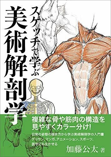 HOW TO DRAW Picture of the Human Body Art Anatomy Learned from Sketches ...