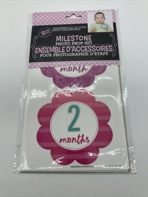New Milestone Photo Prop Sticker Set Pink and Purple Flowers with Months