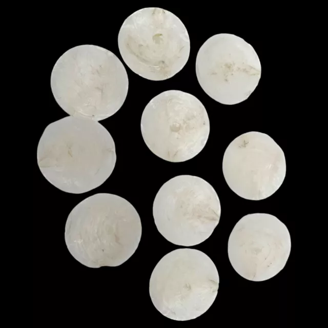 Natural Indonesia Capiz Shell Rounds Windowpane Oysters Bundle Of 10 Sz 2.5" Dia 3