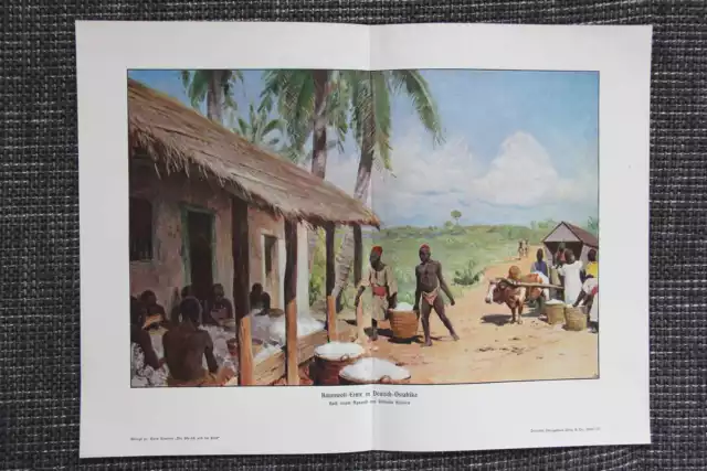 Baumwollernte in Deutsch-Ostafrika FARBDRUCK von 1908 DOA Kolonien Wilhelm Kuhne