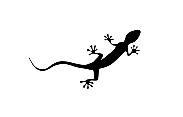 Aufkleber quattro nur Gecko für Auto Möbel Wand PC Glas ect
