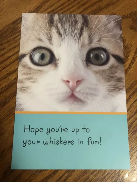 Happy Birthday Friend Family Kitten Cat Funny Hallmark Greeting Card