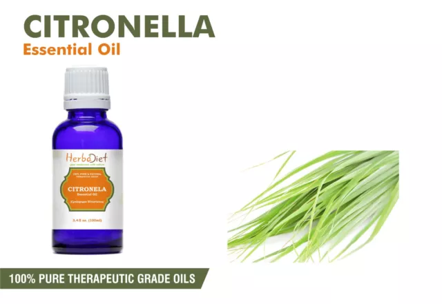 Citronella Essential Oil 100% Pure Natural Aromatherapy Oils Therapeutic Grade