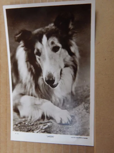 Film Star Postcard Lassie Picturegoer 219 Real Photo unposted
