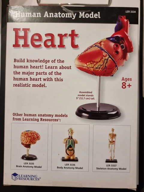 HUMAN HEART ANATOMY Model Educational Biology 29-Pieces from Learning ...