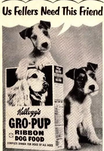 PRINT AD 1951 Kelloggs Gro-Pup Ribbon Dog Food Wire Fox Terriers Kibble Vintage