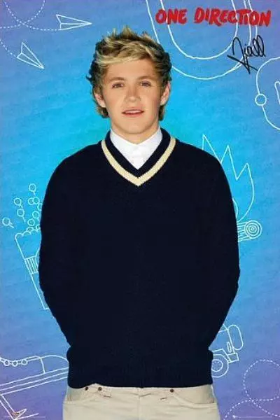 One Direction : Niall - Maxi Poster 61cm x 91.5cm - nuevo y sellado