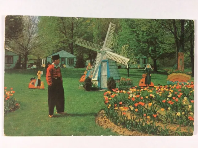 Sunny Brook Court Holland, Michigan Dutch Tulips  Ottawa Allegan Chrome Postcard