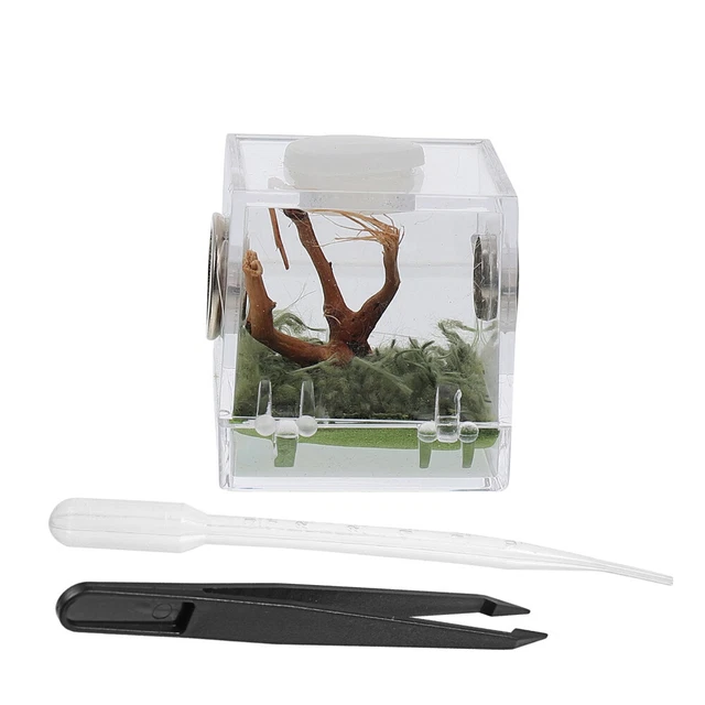 3x Breeding Box Enclosure Tank Reptile Habitat Feeding Box