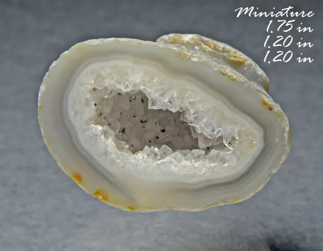 Quarz & Gebänderte Achat Geode Brazilien Mineralien Kristalle Gems-Scb