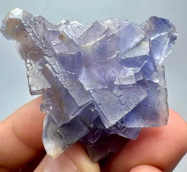 259 Carat Wow! Phantom Fluorite Crystals From Pakistan