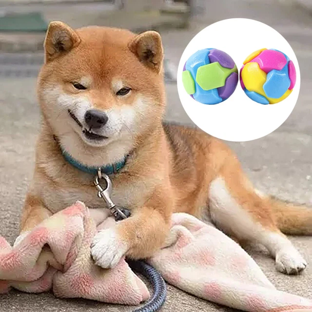 2Pcs Katze Interaktive Spielzeug Hund Übung Spielzeug Welpen Kauen Spielzeug