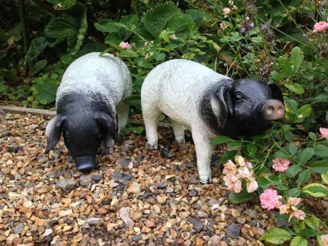 Black & White Resin Pig Outdoor Ornament Garden Sculpture (sold separately)