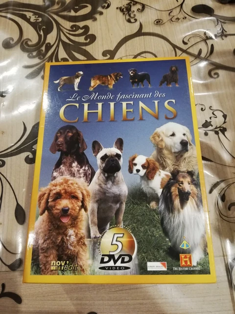 Lot 5 Dvd Le Monde Fascinant Des Chiens