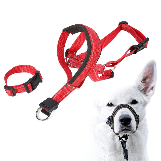 (XL) Collare Testa Animale Muso Nylon Regolabile Imbottito Ponte Naso Traspirante