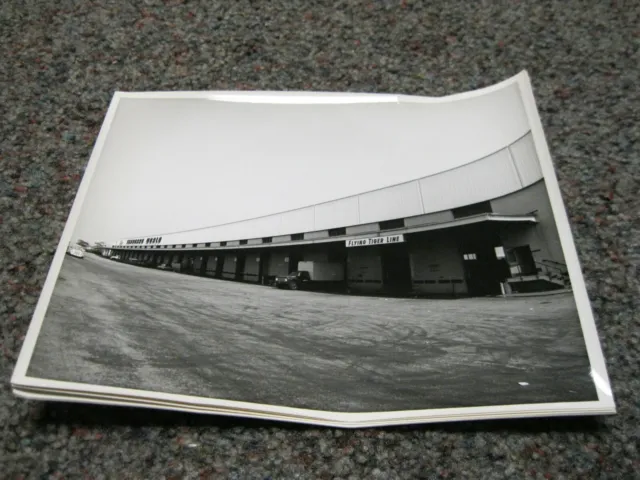 Flying Tigers & Seaboard JFK freight terminal bldg 260 8"x10" photo