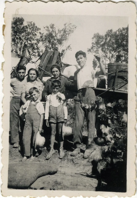 Photo Ancienne - Vintage Snapshot - Vendanges Travail Chemin D'agde - Harvest 3