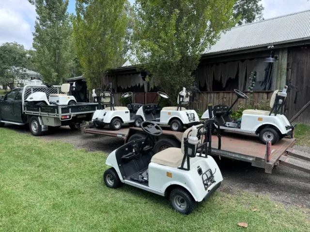 2Nd Hand Single Seat Hawk Golf Cart