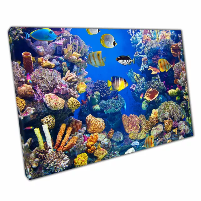 Fish Coral Reef Vibrant Scales Tropical Exotic Sea Life Wall Art Print Canvas