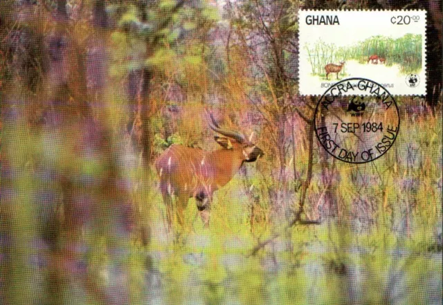 (102316) Antelope WWF Ghana Maxicard / Postcard FDC 1984