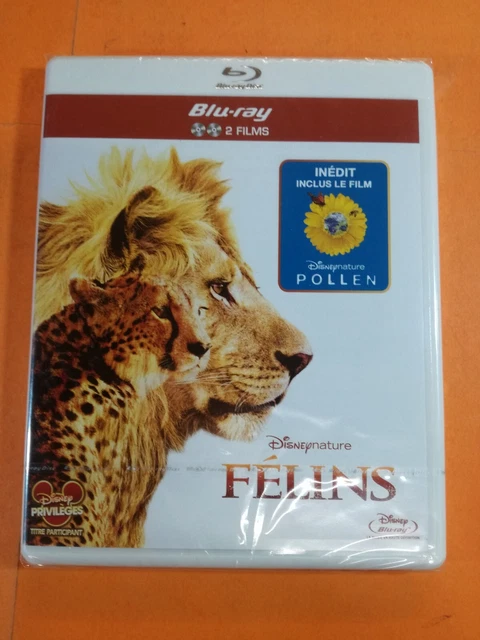 Bluray - FELINS + Pollen - Disney Blister VO VF Yooplay H7