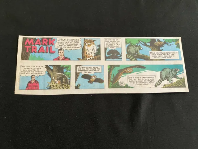 #Q02 MARK TRAIL by Ed Dodd Lot of 14 Sunday Quarter Page Comic Strips 1985