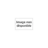 Hugo Victor - Œuvres Romanesques Dramatiques Et Poetiques.tome 8.Les Travailleur