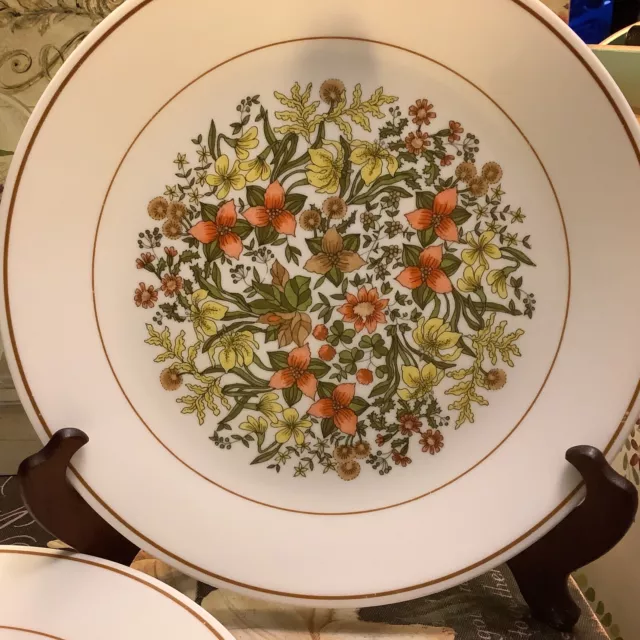 (4) Corelle/Corning~INDIAN SUMMER~10” Dinner Plates~c 1977-1985~Harvest Colored~ 2