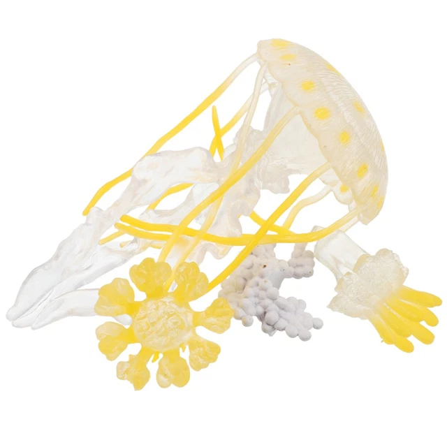 HTN - Figura Da Insetti A 4 Pezzi Ciclo Di Vita Animale Ciclo Di Plastica Per Un Periodo Maturo 8130850903380