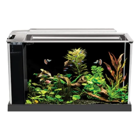 Fluval Spec Aquarium Kit - Black - 5 Gallon - Desktop Glass Aquarium - 10516