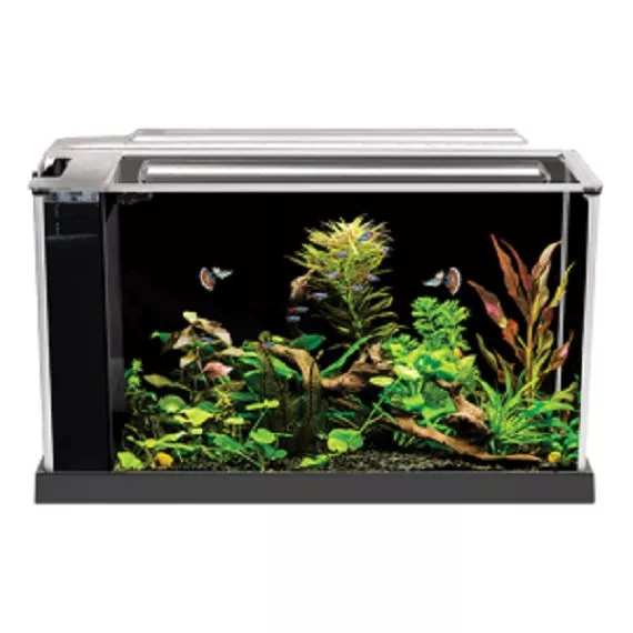 Fluval Spec Aquarium Kit - Black - 5 Gallon - Desktop Glass Aquarium - 10516