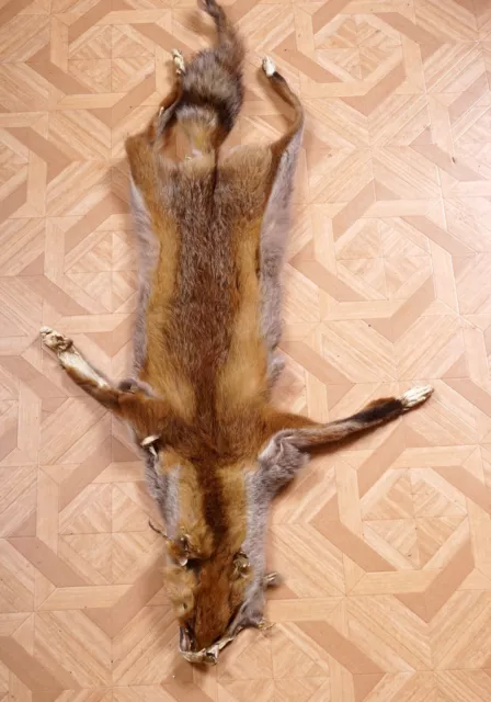 Schönes Fuchsfell mit Bescheinigung Fox Fur