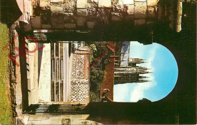 Postcard> Canterbury, Cathedral Through King's School Archway [Colourmaster]