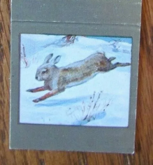Rabbit Animal Matchbook Cover Empty Diamond Match Matchcover New York City -E1