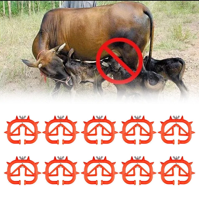 10pcs Easy To Wean Calving Weaning Feeding Calf Weaner Farm for Bovine Cow