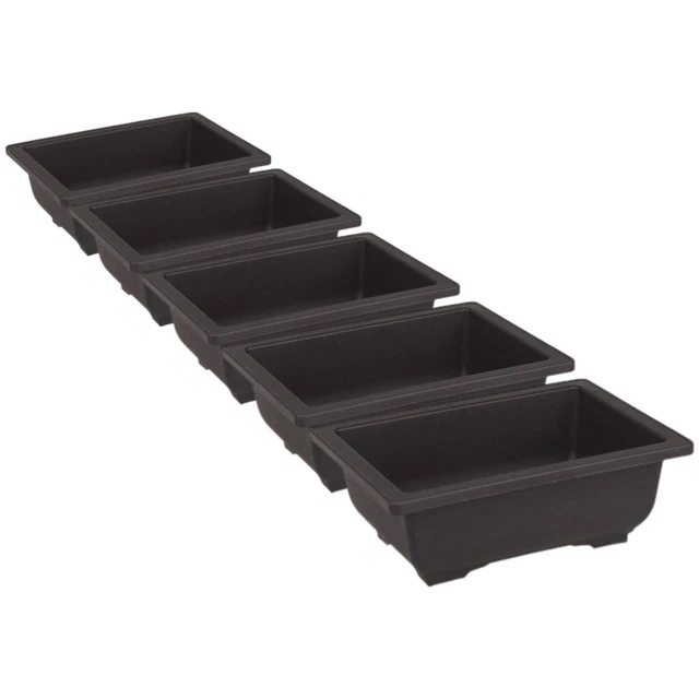 5pcs rechteckige Bonsai -Töpfe Sukkulente Blütenpflanztöpfe Plastikblütenpots