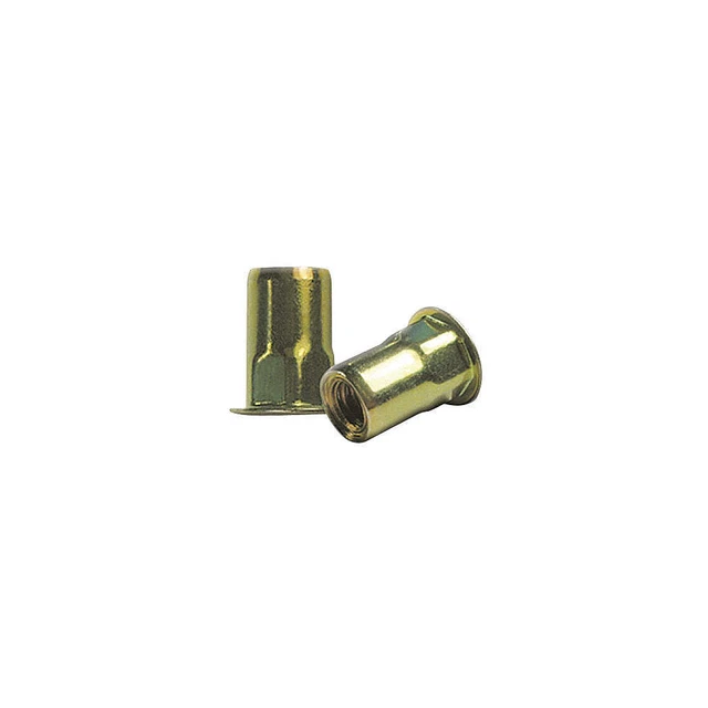 GRAINGER APPROVED CAH2-3118-312-25 Rivet Nut,Hex,Steel,Zinc Yellow,PK25