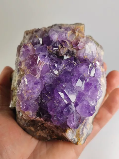 🔥 Quarz Amethyst Druse Stück, Brasilien 🔥