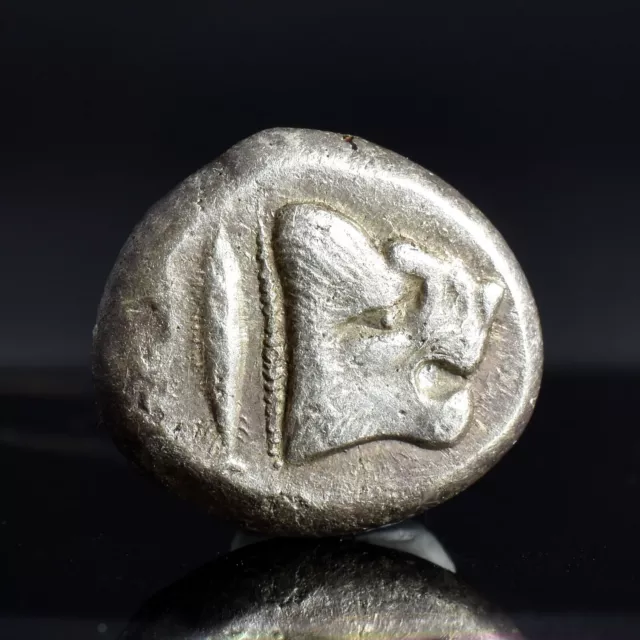 Kyzikos, Mysia Rare AR Half-Stater 550-450 aC Moneta d'argento Novità Colpo