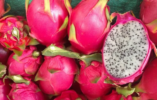 200 Graines De Fruit Du Dragon (Pitaya)