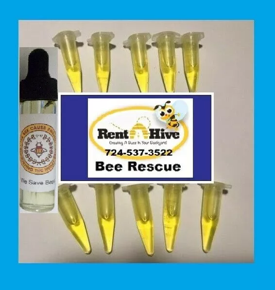 Swarm Lure 10 pack honeybee scent beehive hive bait box trap Made In USA