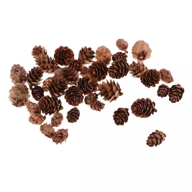 50Pcs Assorted Size Natural Pine Cones for Christmas Wedding Ornament Decor