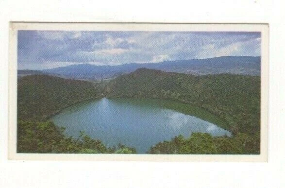 Brooke Bond #08 - El Dorado of the Columbian Andes