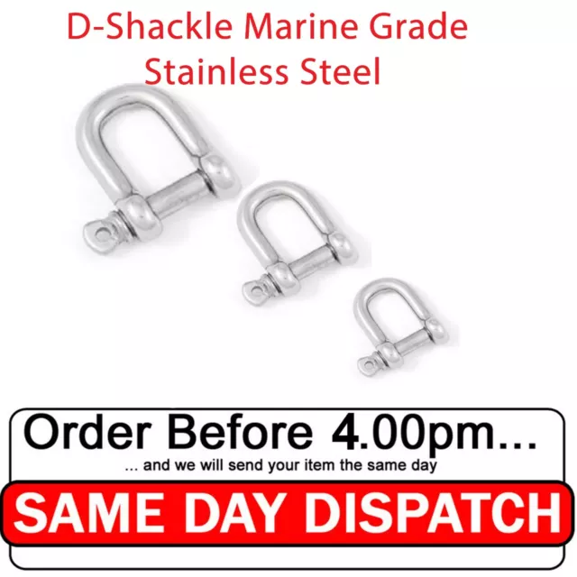 D-Shackle A4 Marine Grade Stainless Steel Chain, Wire & Rope Accessories